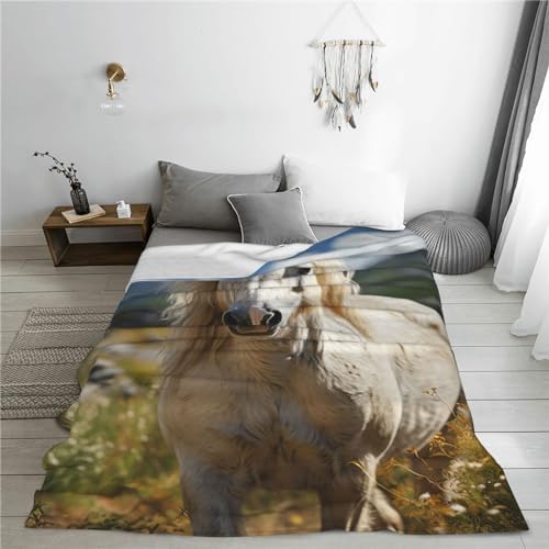 Plaid imprimé cheval pour des soirées cocooning au salon - 6