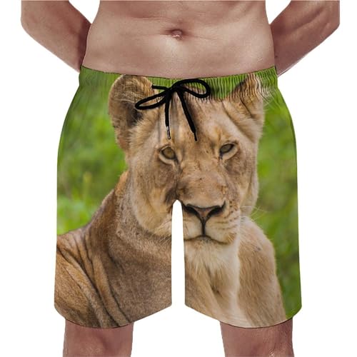 Short de bain homme séchage rapide maillot lion cordon poches S