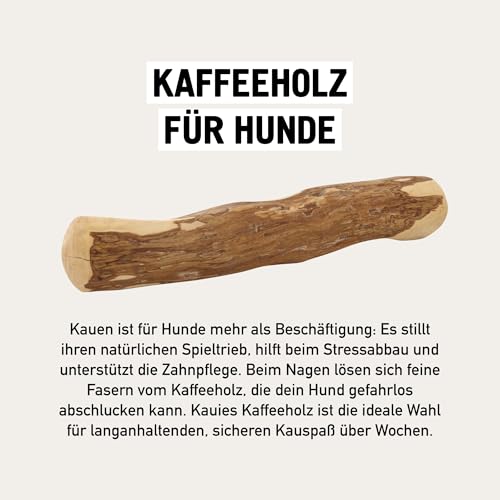 Kauies Kaffeeholz für Hunde mit Olivenöl - Hundespielzeug 100% natürlich, vegan, koffeinfrei & kalorienfrei, schadstoffgeprüft, langlebiges Kauholz für Hunde ab 20 kg, Größe L (1er Pack)