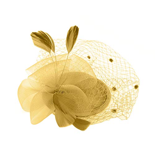 fascia per capelli donna fascia per capelli uomo fascia per capelli fascia per capelli neonata fascia spugna per capelli fascia per capelli donna inverno fascia per capelli trucco fascia per capelli sport fascia elastica sottile per capelli fascia nera per capelli fascia per capelli donna trucco fascia per capelli bambina cerchietto fascia per capelli donna hairband donna hairband uomo hairband cat hairband capelli sposa hairband bambina hairband neonata