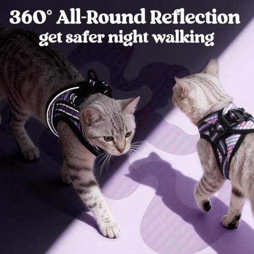 Image of rabbitgoo Cat Harness and Leash Set, Step-in Soft Vest, Stars & Stripes | Escape Proof, Lightweight, Easy-on & Adjustable, Hook & Loop with Buckle, Reflective, for Kittens & Small Cats Walks, S