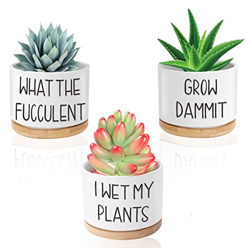 Funny Succulent Pots 3.15 inch Ceramic Flower Plant Pots with Bamboo Tray Cute Cactus Planters with Drainage Hole Birthday Gifts for Women Plant Lover Gifts Pack of 3 - Plants Not Included