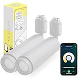 【Amazon Alexa対応】エジソンスマート ミニスポットライト ビーム角調節タイプ (ダクトレール用/ホワイト)×2個セット 専用リモコン対応 LED一体型 調光 調色 スマート電球 スマート照明