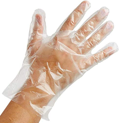 500 Large Size Disposable Poly Gloves, Powder Free, Smooth Touch, Food Service Grade, Polyethylene, Non-Sterile