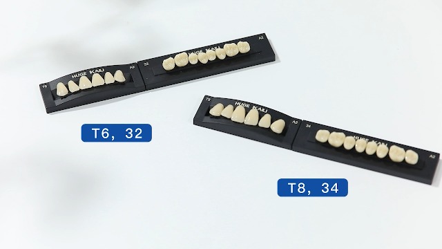smile　6点 Amazon.com: JMU 28 Pcs/Set Dental Acrylic Resin Denture Teeth