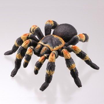 Amazon カプセルqミュージアム 有毒危険動物大全 3 メキシカンレッドニータランチュラ 単品 カプセル玩具 おもちゃ Amazon カプセルqミュージアム 有毒危険動物大全 3 メキシカンレッドニータランチュラ 単品 カプセル玩具 おもちゃ