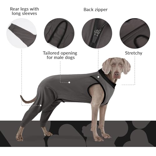 PUMYPOREITY Hundebody mit Beinen, Hundebody Hinterbeine Hunde Op Body Rüde Bandage Hinterbeine Hundeschenkel Schutz Langatmig Body(Grau, M)