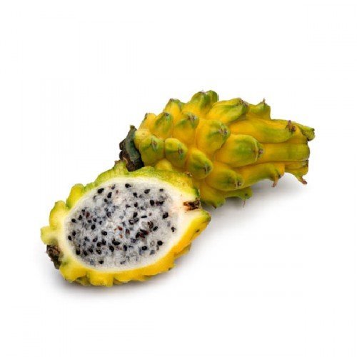 Yellow Golden Dragon Fruit Pitaya Pitahaya Hylocereus Megalanthus Seeds 15 Pcs #TOP2