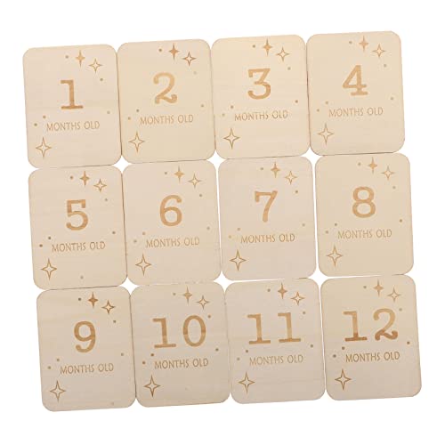 EXCEART 12 ؐ}CXg[J[h dL^p ʐ^Be xr[a ΂܂ł̋L^ 敗fUC