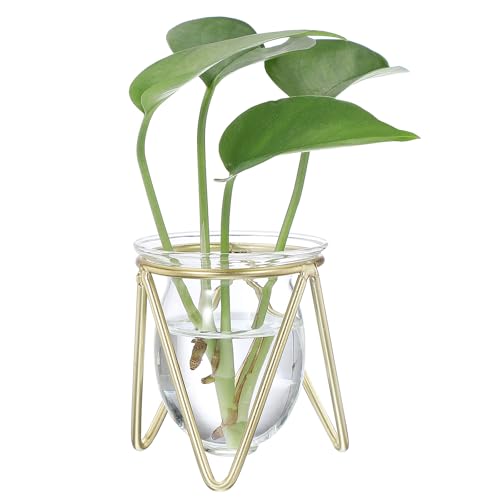 PATIKIL ���^���X�^���h�t���K���X�v�����^�[�^�����E���A���G�A�v�����c�o���u�ԕr�A���k�͔|�p�A�z�[���K�[�f���������f�R���[�V�����A����/��