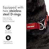 EzyDog Double Up Halsband, Schwarz, Medium (29cm-40cm)