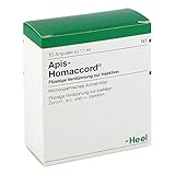 Apis Homaccord Ampullen 10 stk