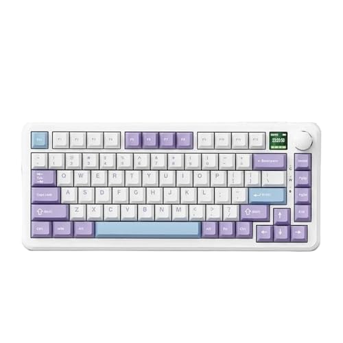 あさん専用まとめ買いセット 工進 HSシリーズ用 HS-B/C/Eパッキンセット PA-510(PA-510): 農機具
