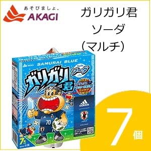 赤城乳業 ガリガリ君 ソーダ(マルチ) (63mlx7本)×7個入り