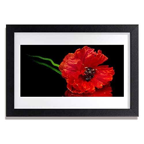 Photo murale salon fleur pavot affiche avec cadre Tulup 30x20 en bois