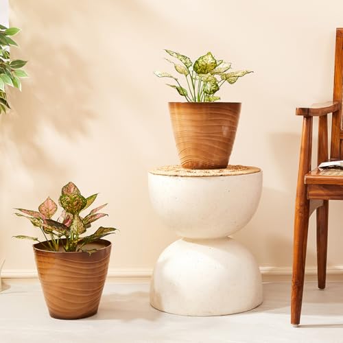 Image of Amazon Brand- Solimo Indoor and Outdoor Round 10 Inch Muscat Flower Planter Pot Best for Terrace /Balcony /Home /Office Decor - Set of 2