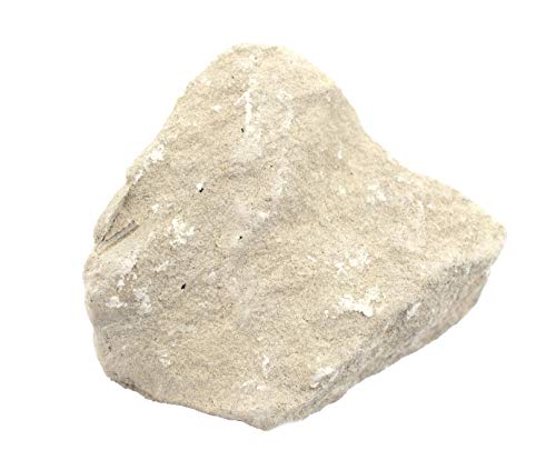 EISCO Raw Limestone Chalk, Sedimentary Rock Specimen - Approx. 1