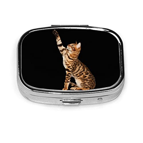 sP[X P[X ^   G glRL lR K ݖYh~ RpNg gїp ^т₷  萮 ֗ [P[X KP[X  wցElbNXERElW[ ^[P[X 