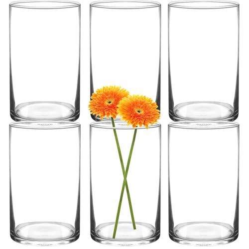 HYCKee 6er Set klare Vasen, 15 x 9 cm zylindrische Glasvase, minimalistische dekorative Vase für Kerzen, Blumen, Muscheln, Perlen, Windlichter Tischdekoration