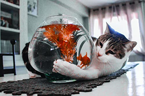 Pawverbs for a Cat Lover's Heart: Inspiring Stories of Feistiness, Friendship, and Fun - Image 4