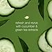 Dove Sulfate Free Body Wash Cucumber and Green Tea, Go Fresh Cool Moisture, 88 Fl Oz, (Pack of 4)