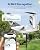 HARYMOR Bird Bath with Camera, Automatic Water Flowing, 2K Bird Camera Captures Bird Activity, Arrival Alerts, Smart AI Identifies Species, Live Video, Solar-Powered, Unheated—Enjoy Watching Birds