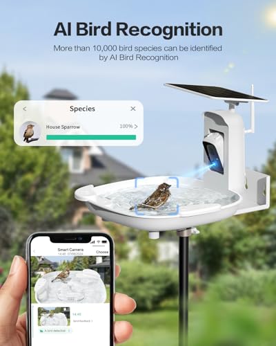 Caméra d'oiseau 2K pour observer la nature du salon - 3