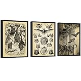 EXCOOL CLUB Gothic Bat Wall Art Decor - 12x16 Vintage Bat Poster Halloween Pictures, Whimsical Gothic Home Decor, Spooky Goth Print, Black Vampire Bats Anatomy Art for Dorm Bedroom (Unframed)