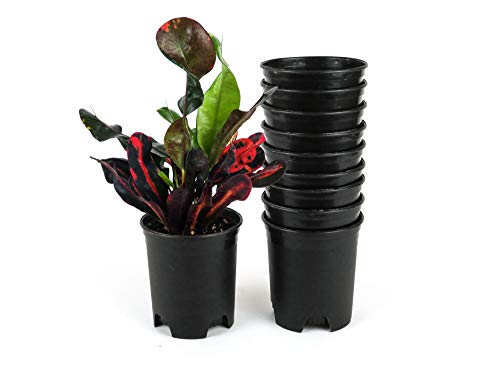 4 Inch Nursery Pot Plastic Planters for Outdoor Indoor Plants Gardening Flower Pots 10-Pack 0.25 Gallon Pot Liners with Drainage Holes