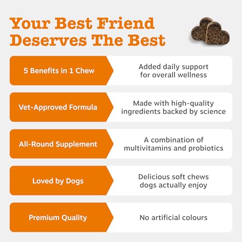 Zesty Paws 5in1 Multivitamins for Dogs | Supports Skin & Gut Health, Brain Function, Immune System, Physical Performance | With Vitamin A, B & C, Folic Acid, Biotin, L-Carnitine | Daily Use | 90 Chews - Image 3