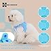 SMALL COMBINATION Adjustable Dog Harness with Leash, Reflective Mesh, No-Pull Design，Matching Lead Rope (SkyBlue, XS)