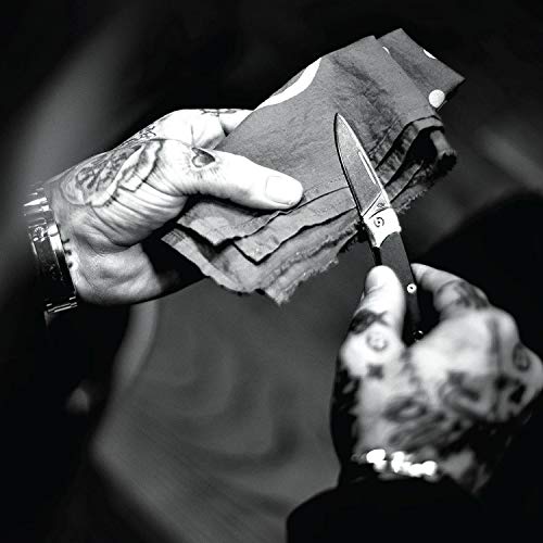 GERBER GEAR 31-003719 Faca de bolso dobrável compacta Wingtip, lâmina de borda fina de 6 cm, verde