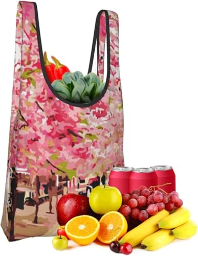 [RFSHNOP] GRobO Ԃ̖ G  i obO ܂肽 e [|Pbg RpNg y [֗ GR 􂦂 킢  Y fB[X