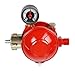 Produktbild Rothenberger Industrial Zweistufiger-Propangasregler Niederdruckregler 50 mbar mit Druckanzeige | Manometer | Konstantregler | für Heiz-, Koch-/ Grillgeräte | 1500002743