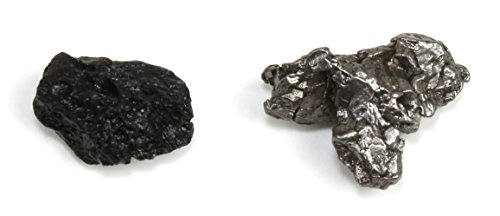 Dancing Bear Genuine Meteorite (15-20 Grams) From Campo Del Cielo In Argentina. Bonus: Tektite (2.5-4.5 Grams), Certificate Of Authenticity, Educational Info Cards And Display Box, Brand #TOP1