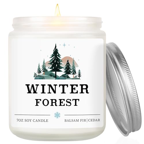 Winter Home Decor, Christmas Candles Decorations...