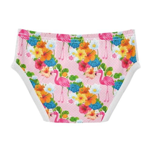 Pink Flamingos Flowers Toddler Boy's Underwear 2T 202c18412
