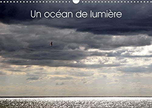 Un ocean de lumiere (Calendrier mural 2021 DIN A3 horizontal): Jeu de lumiere sur l'ocean et la mer (Calendrier mensuel, 14 Page