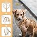 Mile High Life Harness Lead No Pull, All in one Dog Lead 2-in-1, Rope Leash and Harness Two in One, Slip Leash for Puppy Small Dogs Training, 4FT Yellow