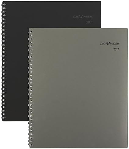 DayMinder Monthly Planner 2017, 8-1/2 x 11", Traditional, Color Selected For You May Vary (GC470-10)