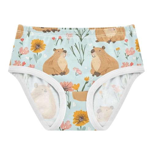 Wusikd Cute Capybaras Girls' Underwear Cotton Flower Girls Briefs Soft Toddler Underwear 2T