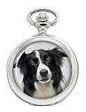Border Collie Full Hunter Orologio da tasca