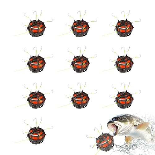 Qanment paz_[ - o[X{gfUC 6tbNtaJS,Ō`&aubNtB[_[ WRCEEiMނd|