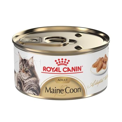 Royal Canin Maine Coon Cat Food