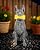 Miggley Dog Solar Garden Statue with LED Light - Outdoor Yard, Lawn, Patio Doberman Decor - Unique Birthday Housewarming Gift for Dad, Mom, Men, Women