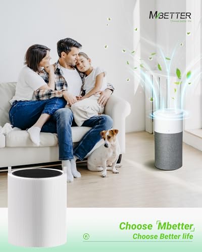 Image of 2 Pack 311 Auto SmokeBlock Filter Compatible with 311 Auto Air Puri-fier, Activated Carbon Filters