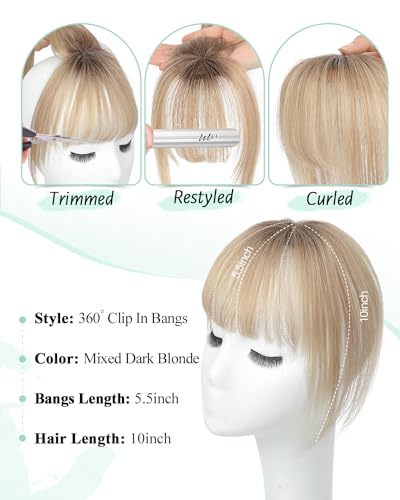 Clip in Bangs Bangs Hair Clip Fake Bangs Clip In Bangs Real Human Hair Hairpieces Ombre Blonde 360° Cover Clip on Bangs for Women Fringe with Temples Wispy Bangs Clip In Hair Extensions French Bangs - Image 5