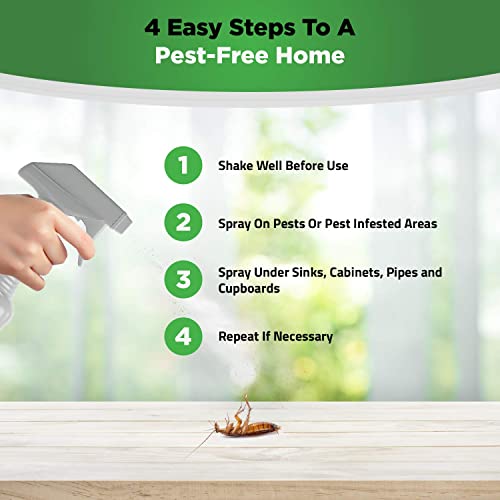 Germofin Scour Organic Home Pest Control Spray - Peppermint Oil - Kills & Repels, Ants, Roaches, Spiders, And Other Pests Guaranteed - All Natural - Pet Safe - (Indoor/Outdoor Spray - 16Oz #TOP5