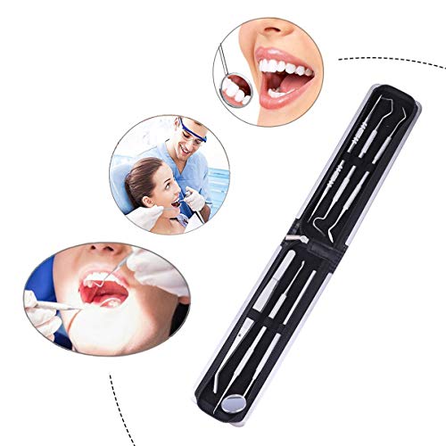EXCEART Ferramenta Dental Picareta Dental Em AÃ§o InoxidÃ¡vel Fio Dental Conjunto de Ferramentas de