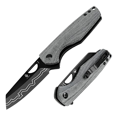 Kizer Sparrow Pocket Knife, 2.99 Inches 154CM Steel EDC Folding Camping Knives, Black Micarta Handle Hunting Survival Knife, Small EDC Gentleman Knife V3628C1